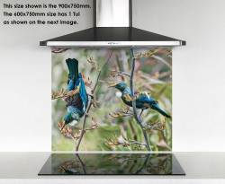 600x750mm glass wall art with Tui birds on flax