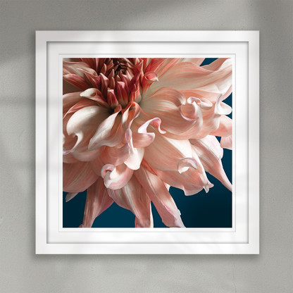 ''Awakening'' stunning flower art print 