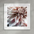 ''Transience'' closeup pale flower art print