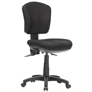 Aqua Fully Ergonomic Office Chair - Low Back