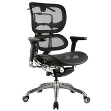 Ergo1 Office Chair