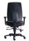 ErgoSelect Stride High Back Ergonomic Office Chair with Arms