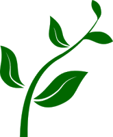 zinger-clipart-seedling.png