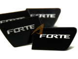 2010-2013 Forte Sedan LED Door Catch Plate Kit