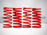 2018+ Stinger Storm Lowering Springs