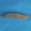 Medford Knife & Tool Marauder-H, All PVD Black Out Special, D2 Blade BACK