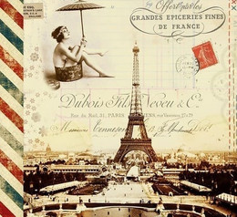 Paris Retro Eiffel Tower 2 Microfiber Cleaning Cloth Made in France