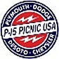 p15-picnic-usa.jpg
