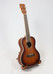 Cordoba Electric Concert Ukulele