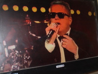 Madness Live in Concert DVD London New Years Eve 2018