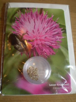 Lesser knapweed seed card