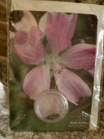 Wildflower Seeds Gardeners Greeting Card,Musk Mallow,Malva moschata.