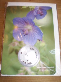 Greetings card with meadow cranesbill seeds