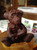 Chocolate teddy bear made in a 2 part ComposiMold-FC mold.