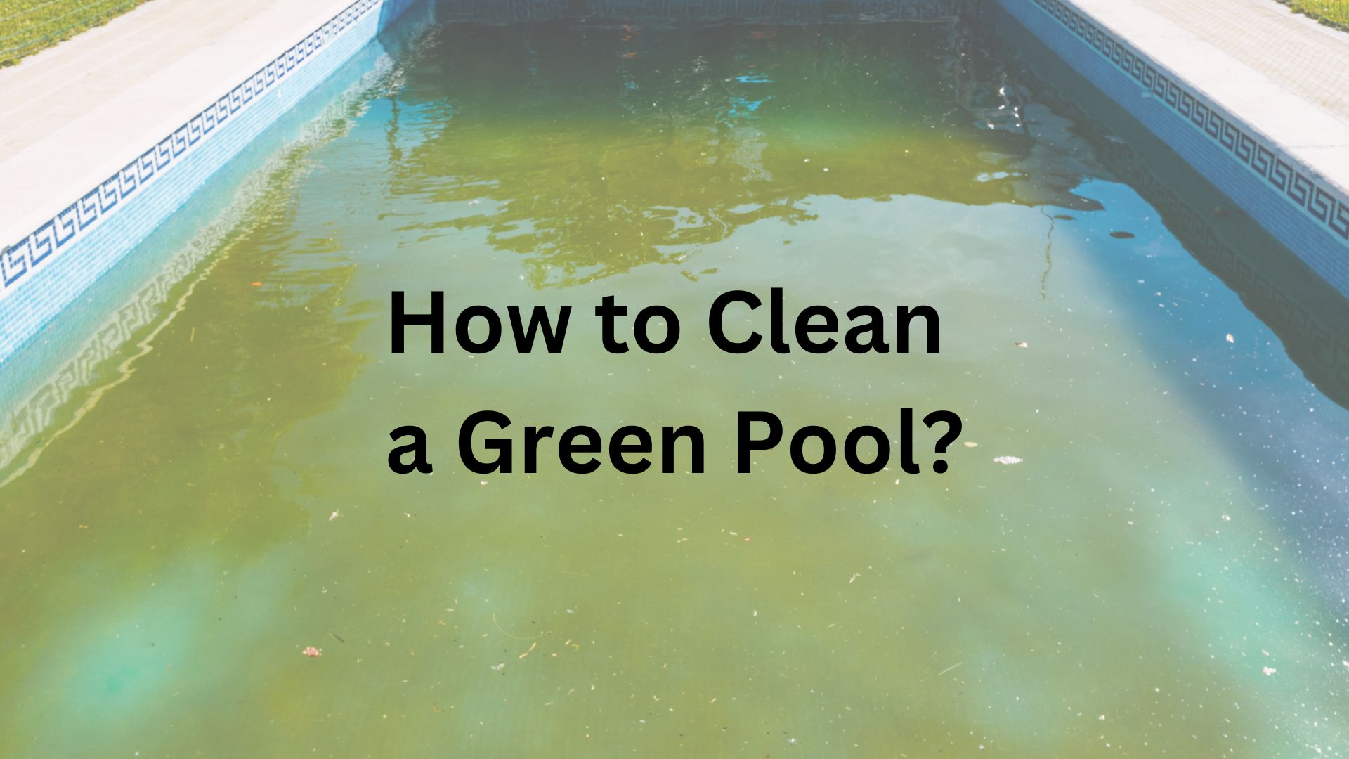 Quick Guide: How to Clean a Green Pool Effectively - Pool and Spa Parts ...