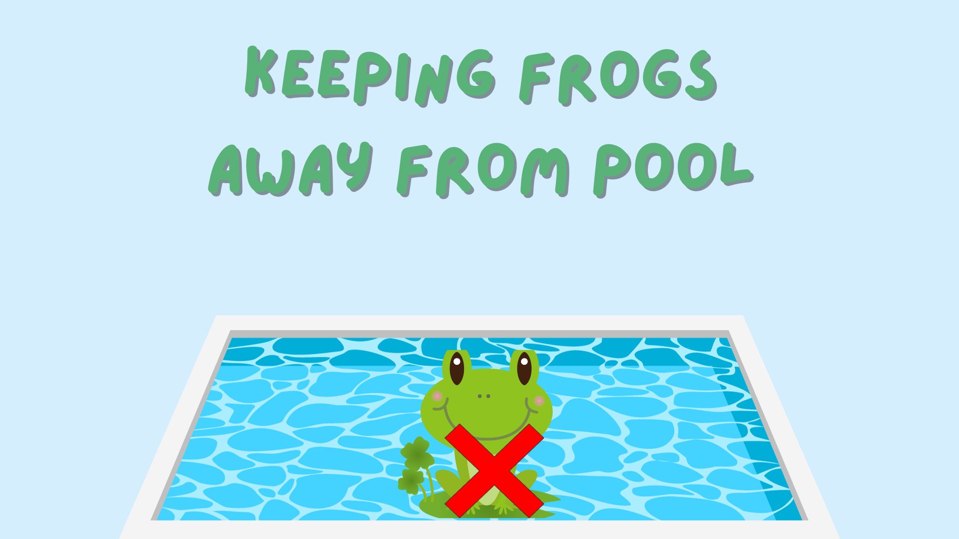 How to Keep Frogs Away From Pool? - Pool and Spa Parts Depot