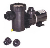 SPECK MODEL | TWO SPEED PUMPS - 3 FT. NEMA CORD - WITH SWITCH | 2071113439