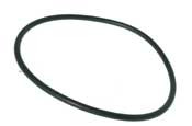 BAPTISTRY HEATERS | INLINE FILTER LID O-RING | 3270-3293