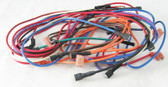 HAYWARD | WIRE HARNESS ASSY IID SNGLE T’ST | HMX WHA 2933