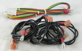 RAYPAK | WIRE HARNESS,ELECTRONIC IGNITION  | 06874F