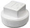HAYWARD | PLUG ONLY WITH SQUARE HEAD, 1 1/2” MPT, WHITE | SPX1051Z1