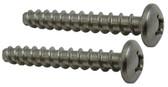 HAYWARD | COVER SCREW, SET OF 2, SELF TAPPING | WGX1030Z2A