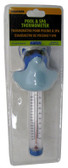 GAME | DERBY DOLPHIN THERMOMETER | 1700