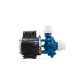06310000-2370 Gecko Alliance| Pump, Gecko, Circulation, Green 2 In W/E, 8Ft In.Link, Unions