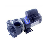 3421020-1U Waterway Plastics | Pump, Waterway EX2, 2.5HP, 230V, 11.0/3.0A, 2-Speed, 2"MBT, SD, 48-Frame