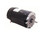 USN1252 | CENTURY MOTORS | Pool and Spa Pump Motor: Face Mounting, 2 1/2 HP, 1.1 Motor Service Factor, 208-230V AC