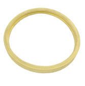 620400Z | American Products/Pentair | Gasket Kit, Pentair American Products Amerquartz, Light Lens