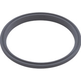 26200-234-421 | Custom Molded Products | O-Ring, "L", CMP Typhoon 400