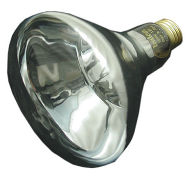 JACUZZI/CARVIN | 12V, 100W LIGHT BULB | 23-4945-86-R