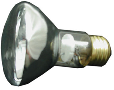 PENTAIR/AMERICAN PRODUCTS | BULB, FLOODLAMP 100W-12V (SPABRIGHT) | 79108100