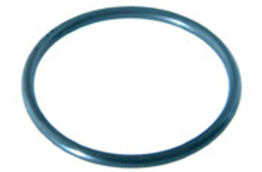 WATERWAY | O-RING (2 REQUIRED) | 805-0226