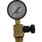 WATERWAY  | heavy duty pressure gauge/air relief  Assembly for pentair filters | V20-225
