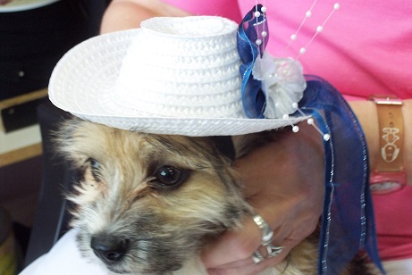 dh500-fascinator-nunnee1.jpg dh500-fascinator-nunnee1.jpg