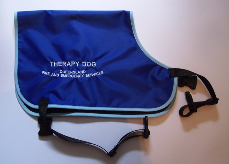 therapy-dog.jpg