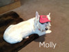 Dog Hat 372 - Red Pinspot modelled by Molly