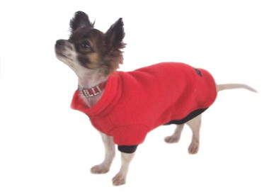 Gorgeous little Lilly shows off her new red polar fleece dog jumper