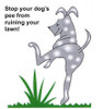 Is your dog's pee ruining your lawn?