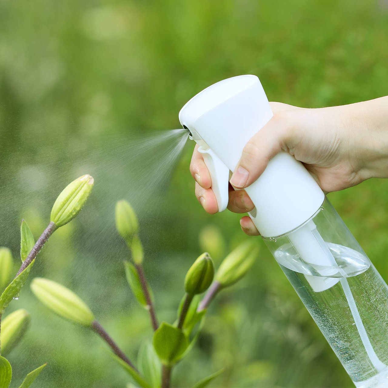 Spray Bottle for Plants, Durable & Refillable Spray Bottles for Cleaning  Solutions, Plant Spray Bottle with Sturdy Mist 