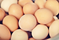  Pastured Eggs (1 Dozen)