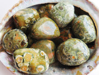 Rainforest Jasper