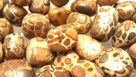 Leopardite
