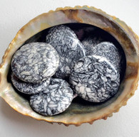 Pinolith Discs