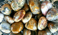 Large Crazy Lace Agate
