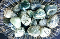 Tree Agate From India
