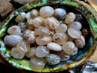 Blossom Agate (Flower Agate)