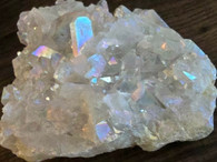 Angel Aura Specimen